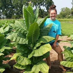 Meet your Posher, Chelsea